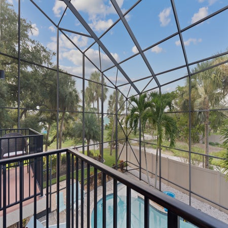 Sabal Palms