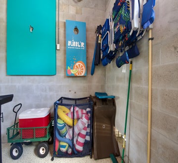 Sand Dollar on Miramar