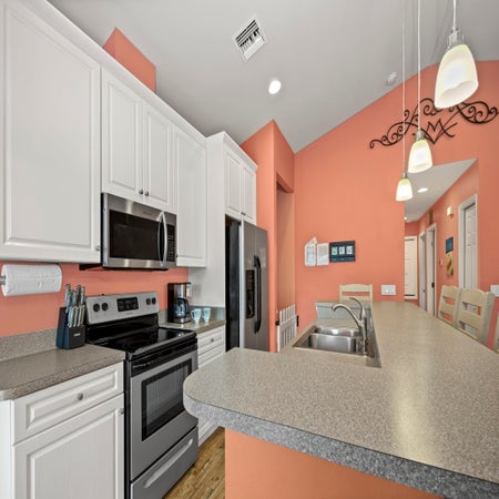 Sand Dollar on Miramar