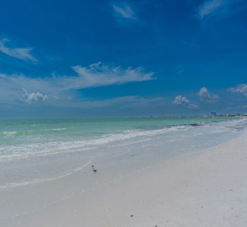 Sand Caper #702