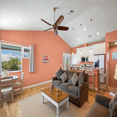 Sand Dollar on Miramar