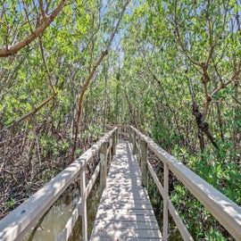 Private preserve in the backyard!