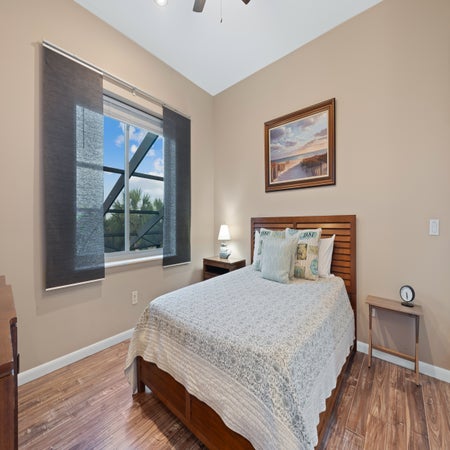 Sabal Palms