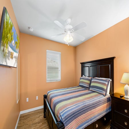 Sand Dollar on Miramar