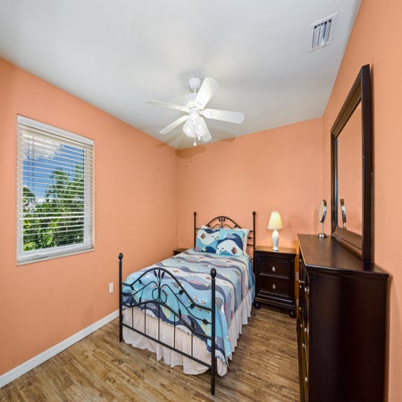 Sand Dollar on Miramar