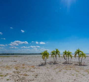 Carlos Pointe #213 Paradise Pointe