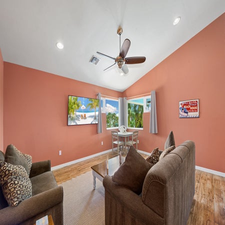 Sand Dollar on Miramar