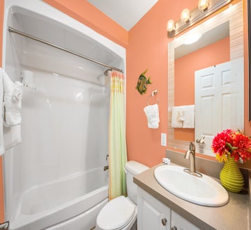 Sand Dollar on Miramar