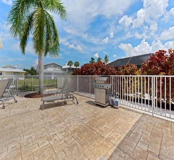 The Pink Lily