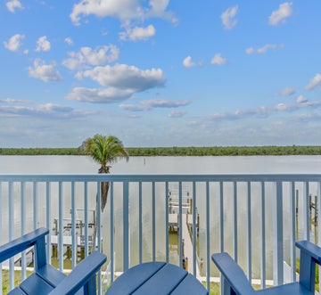 Blue Dolphin View
