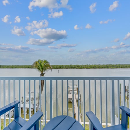 Blue Dolphin View