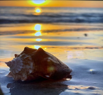 Sunset Paradise