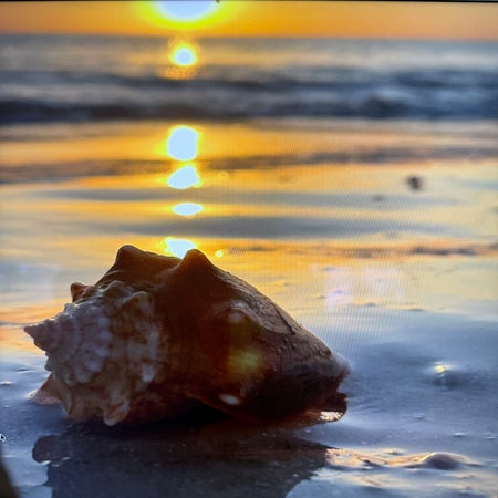 Sunset Paradise
