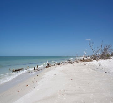 Estero Beach & Tennis 901-C