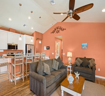 Sand Dollar on Miramar