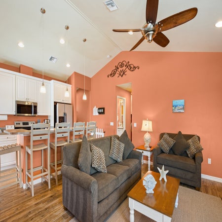 Sand Dollar on Miramar