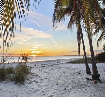 Beach Please