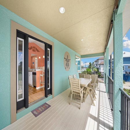 Sand Dollar on Miramar