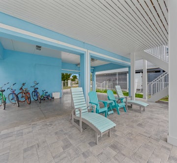 Blue Dolphin View