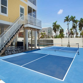 Private pickleball court - racquets and balls come with rental for guest use!