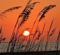 Blue Bayou A & B