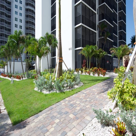 Island Winds 1003