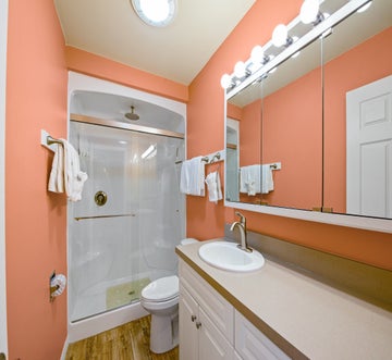 Sand Dollar on Miramar