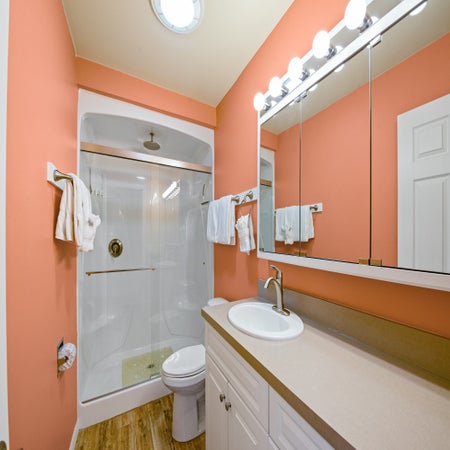 Sand Dollar on Miramar