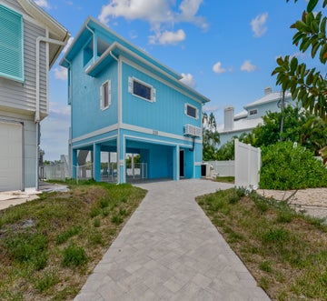 Blue Dolphin View