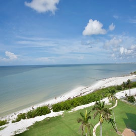 Your gulf view!