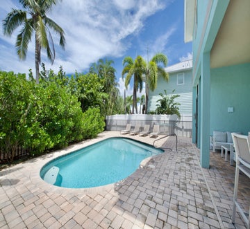 Sand Dollar on Miramar