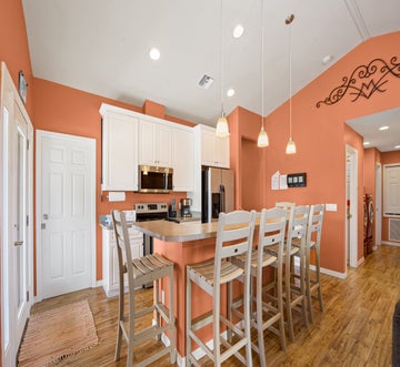 Sand Dollar on Miramar