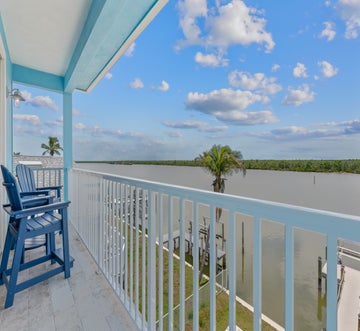 Blue Dolphin View