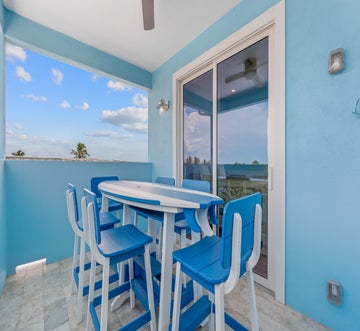 Blue Dolphin View