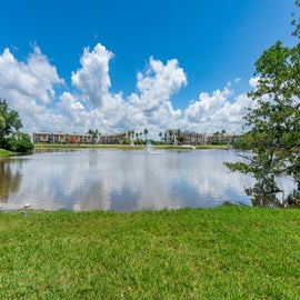 Pristine Lake Views