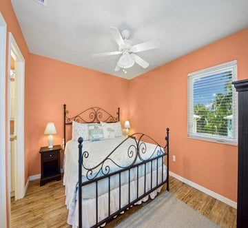 Sand Dollar on Miramar