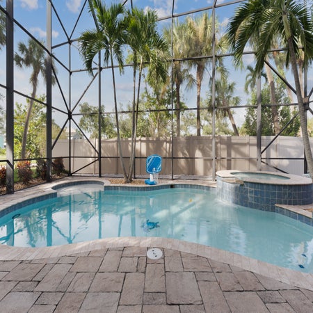 Sabal Palms
