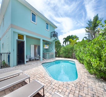 Sand Dollar on Miramar