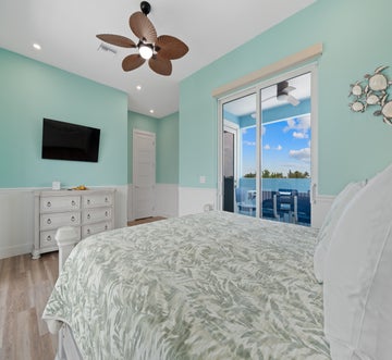 Blue Dolphin View