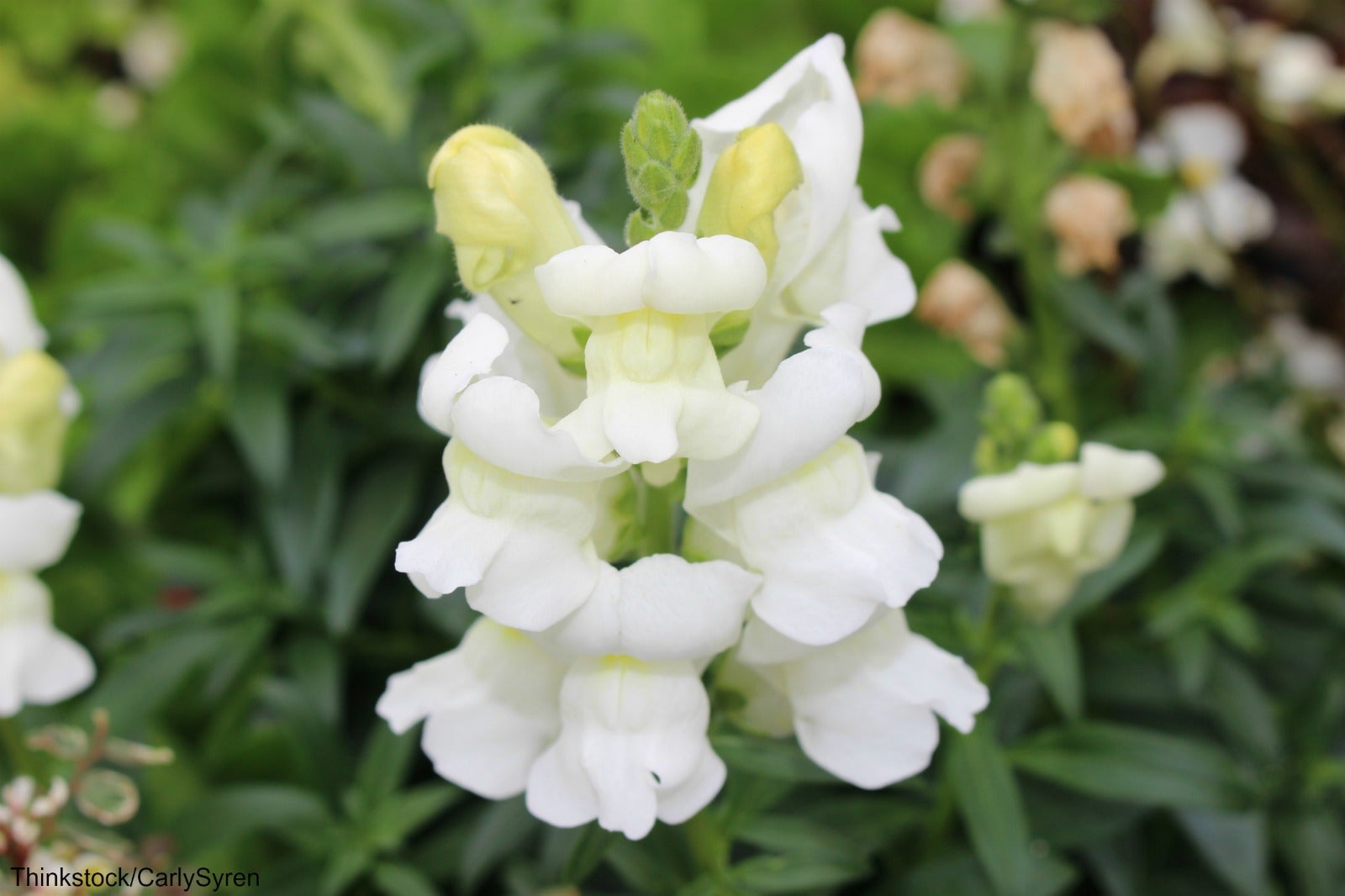 Tired of the Beach? Take a Break at Edison Park. It's Beautiful. Sun