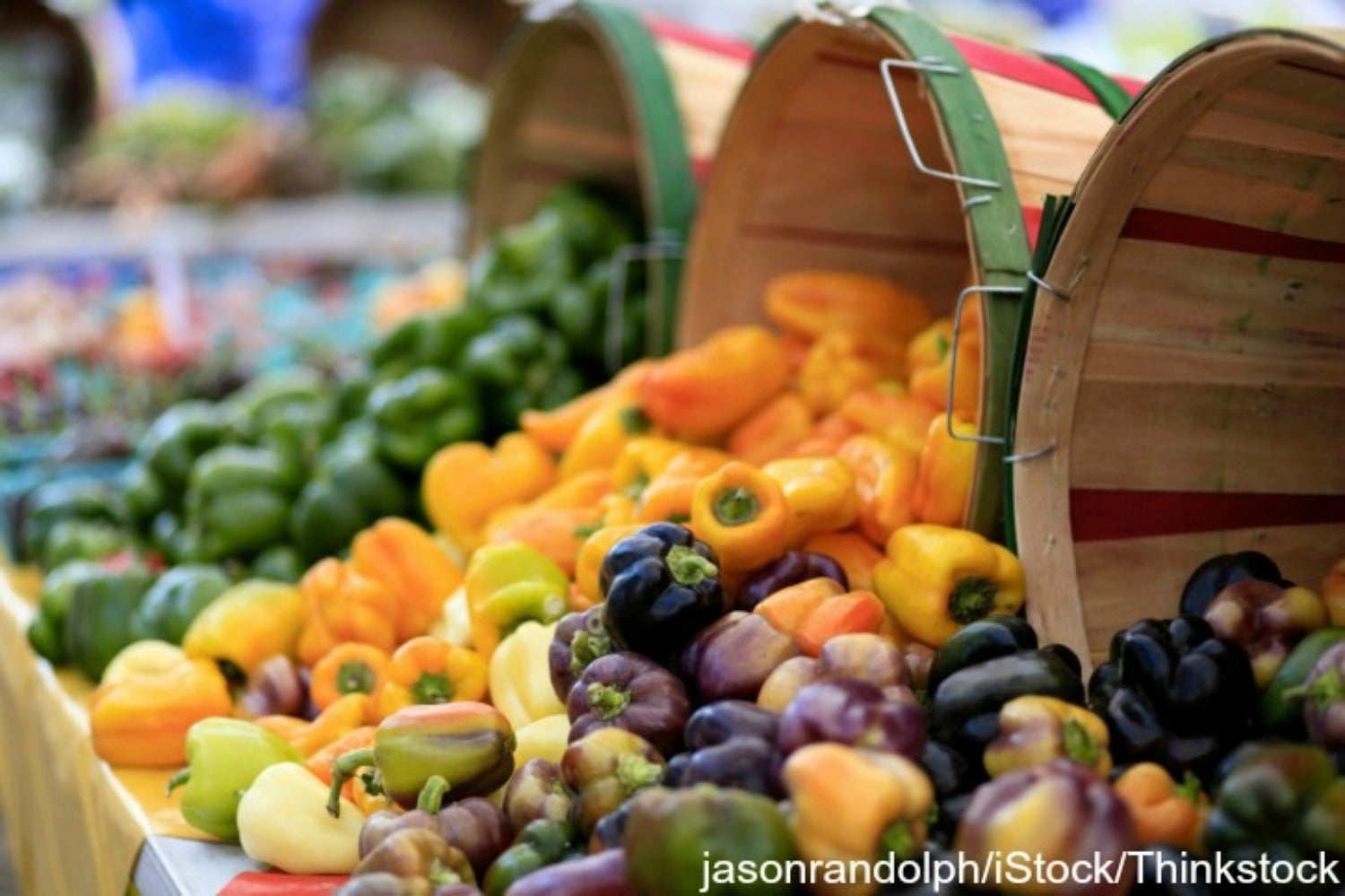 15 of the Most Delicious Finds at the Fort Myers Beach Farmers Market