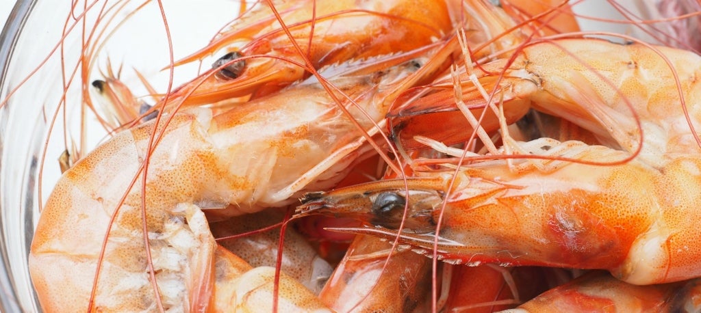Fort Myers Beach Shrimp Festival jumps to life March 11-12