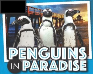 Naples Zoo hosts a traveling exhibit of penguins for the 2017-18 season.