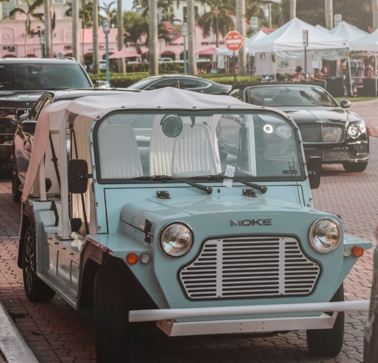 Moke car parked underneath palm trees