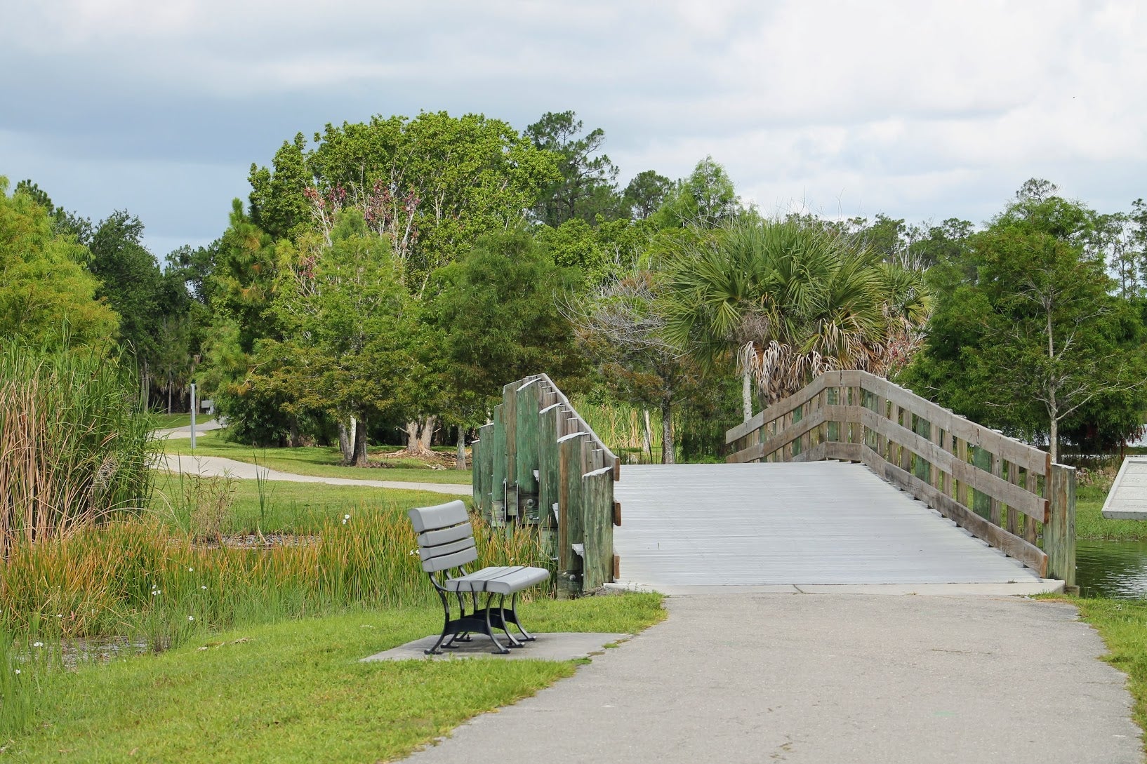 Walking path and nature areas of Lake Park. 
